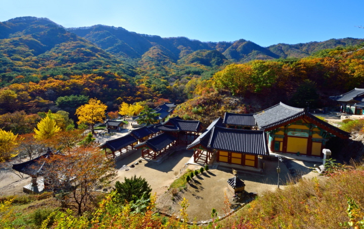 가을맞춤! 보기만 해도 가슴이 뻥~ 뚫리는 한국의 알프스! 춘천해피초원목장 · 알록달록 가을색채를 입은 '섬속의 절' 청평사