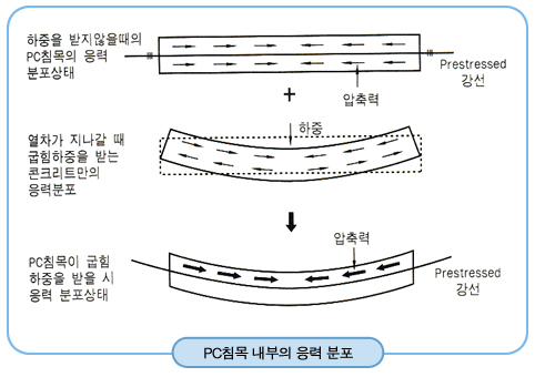 압축력